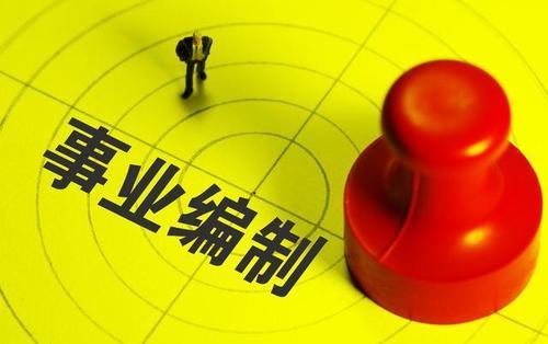 信息系統集成服務領域的事業編制工作概覽